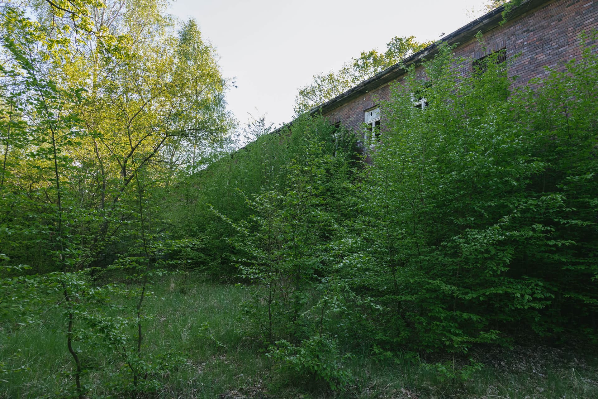 Fliegerhorst Schönwalde — Aufnahme 11