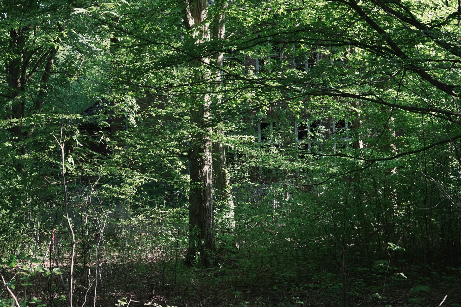 Fliegerhorst Schönwalde — Aufnahme 3