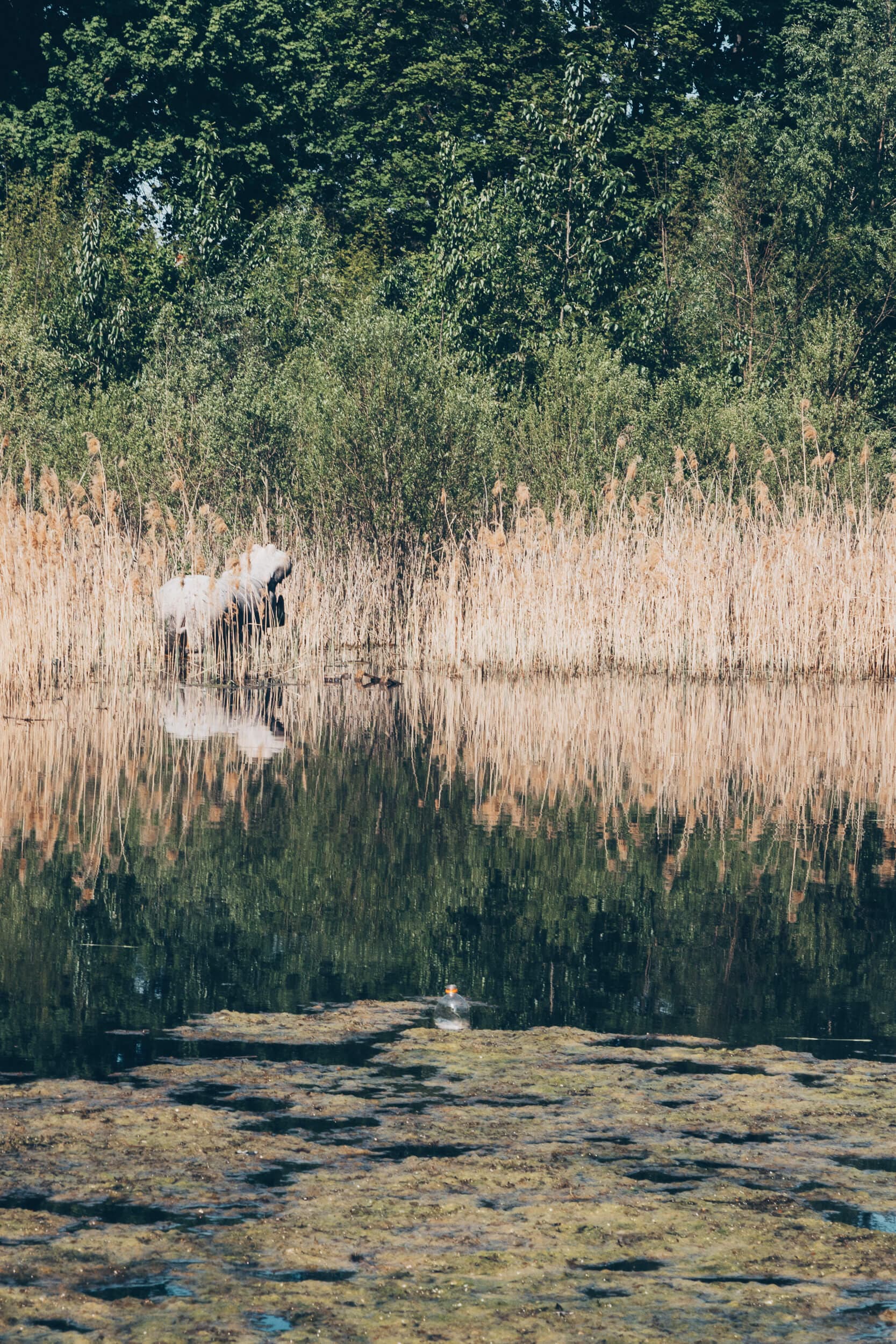 Wernerbad Mahlsdorf — Aufnahme 9