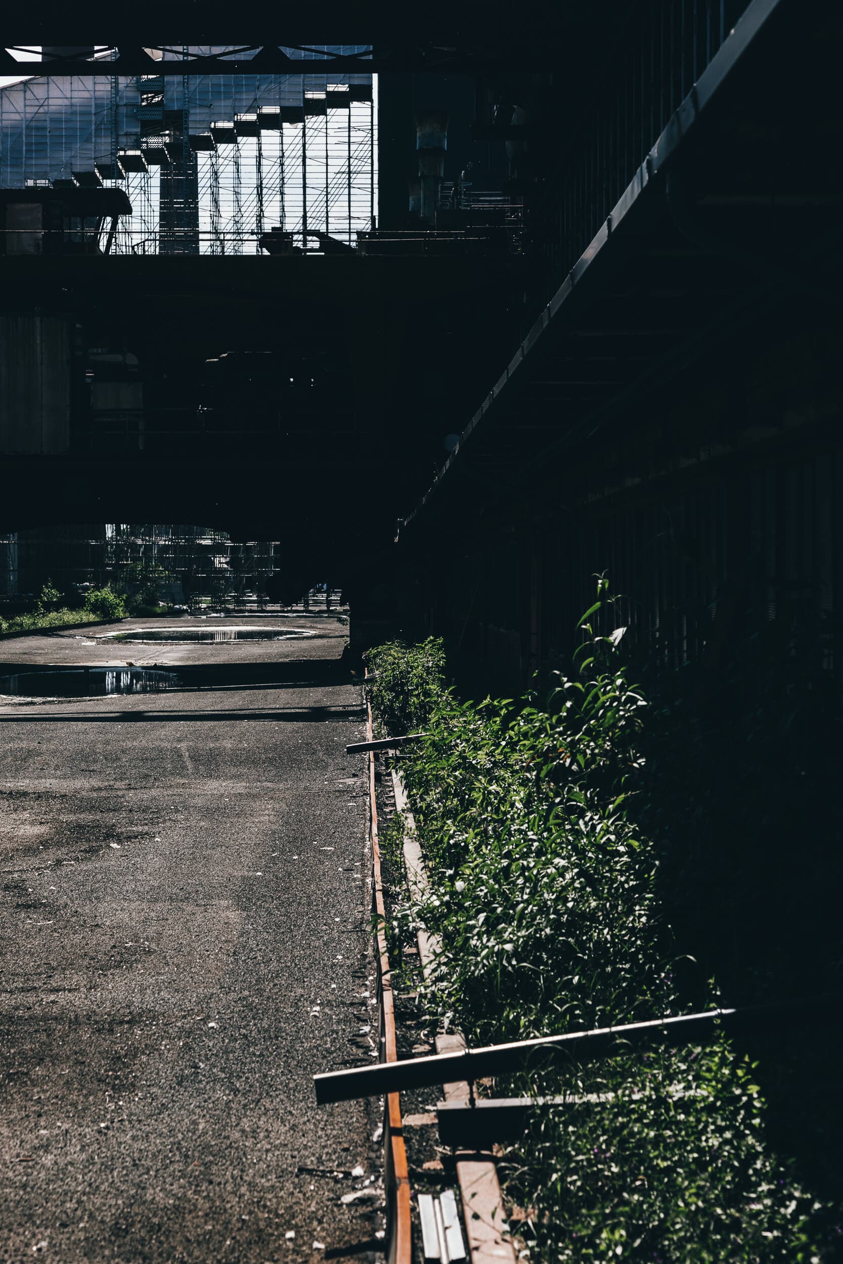 Zeche Zollverein — Aufnahme 4