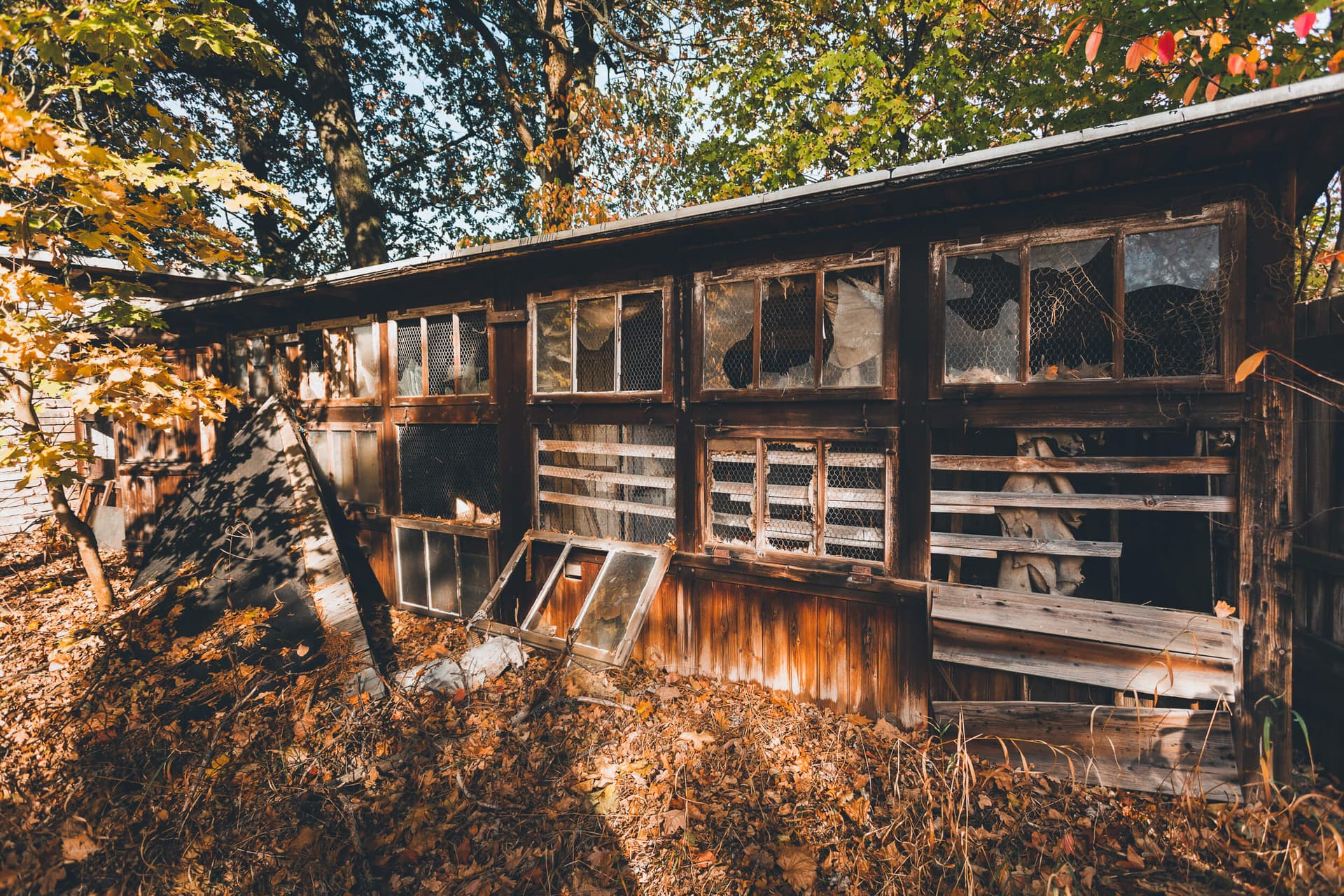 Elisabeth-Sanatorium — Aufnahme 14