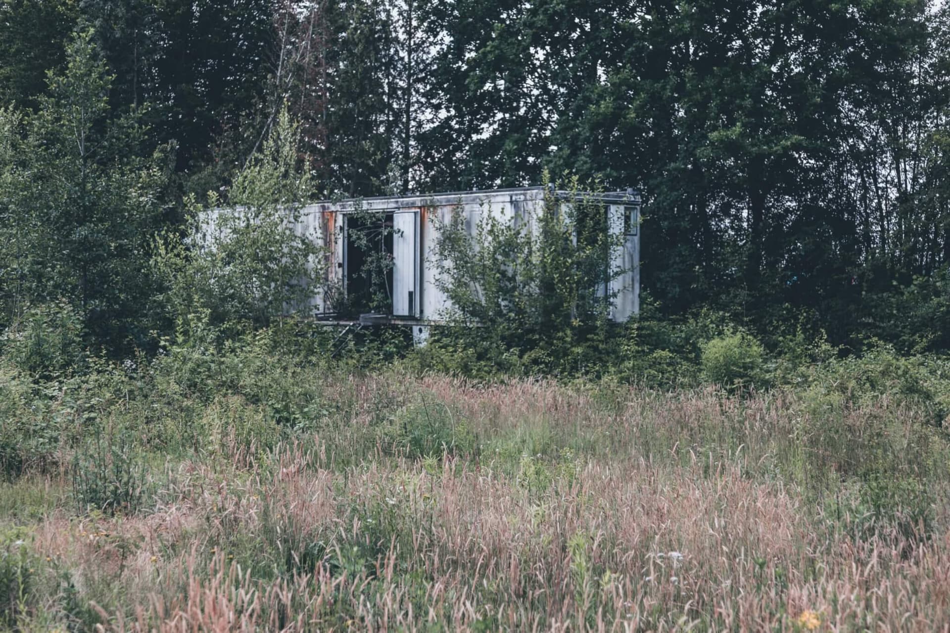 Auktionshaus — Aufnahme 2