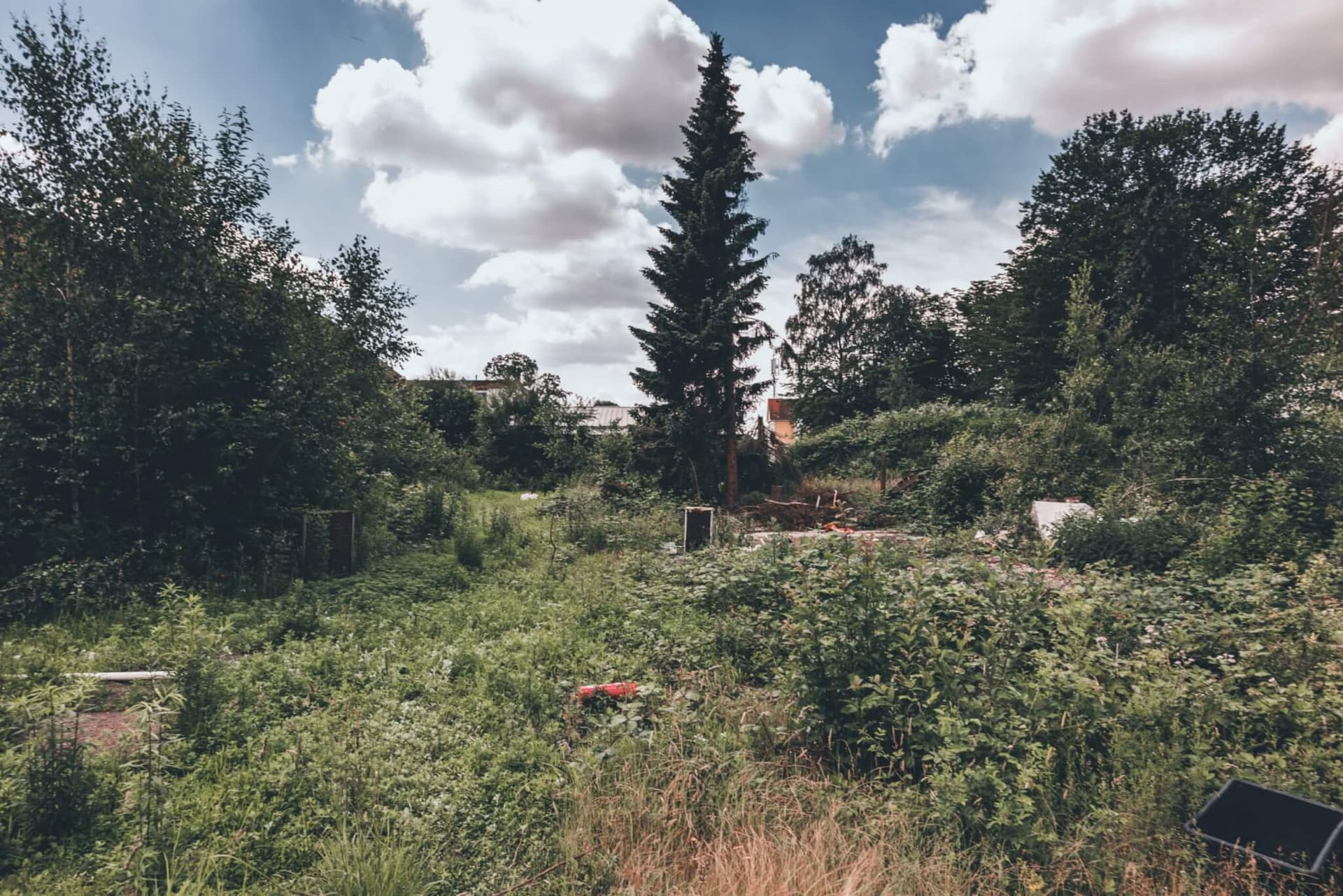 Auktionshaus — Aufnahme 3