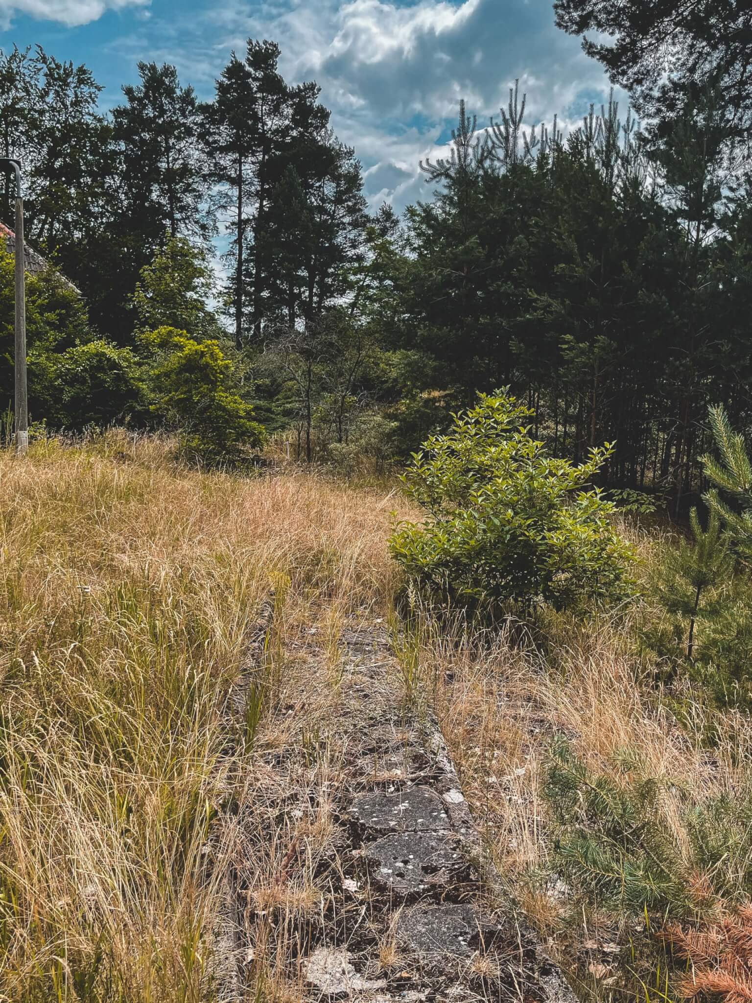 Goebbels-Villa Bogensee — Aufnahme 17