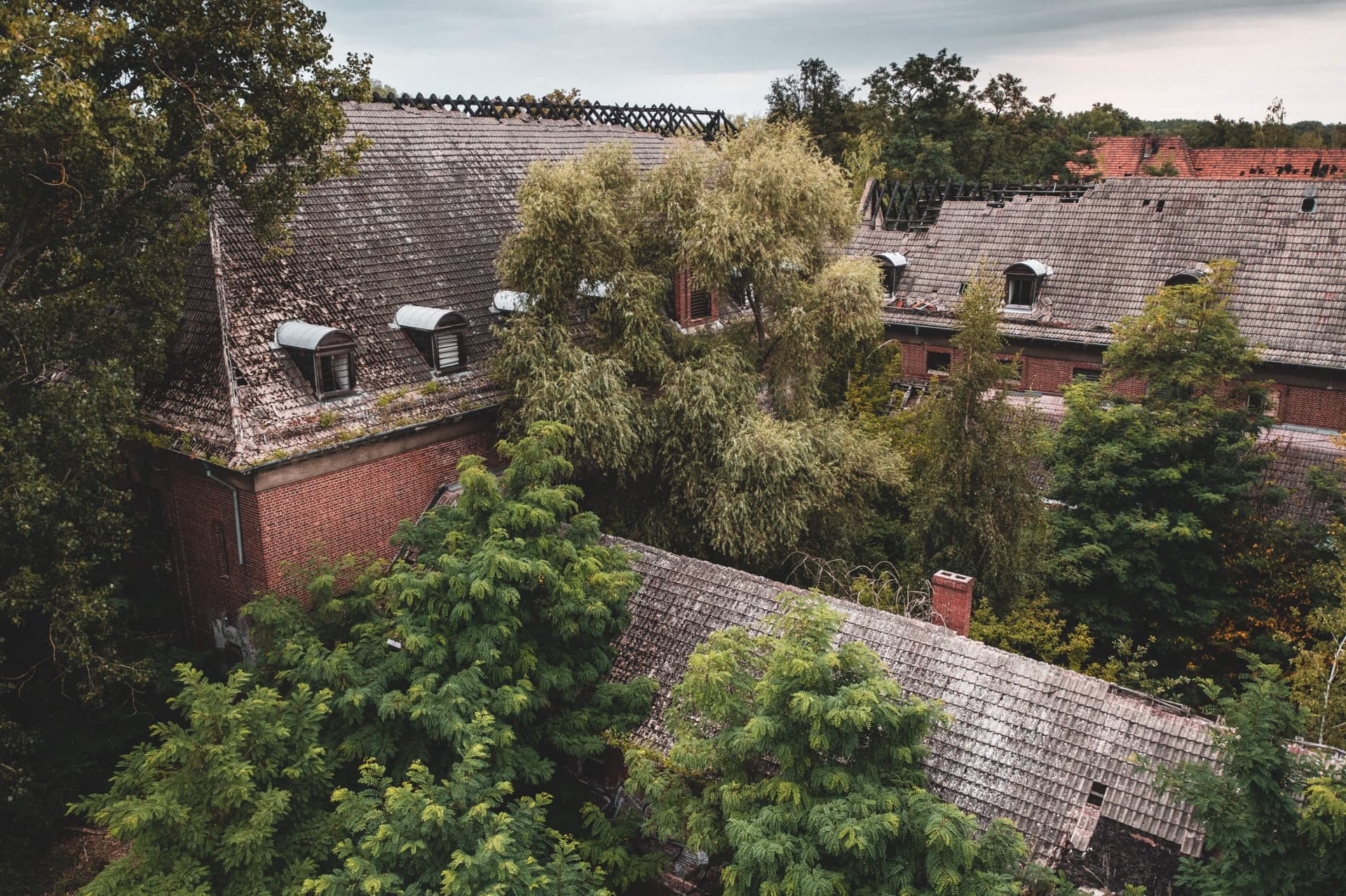 Feuerwerkslaboratorium — Aufnahme 10