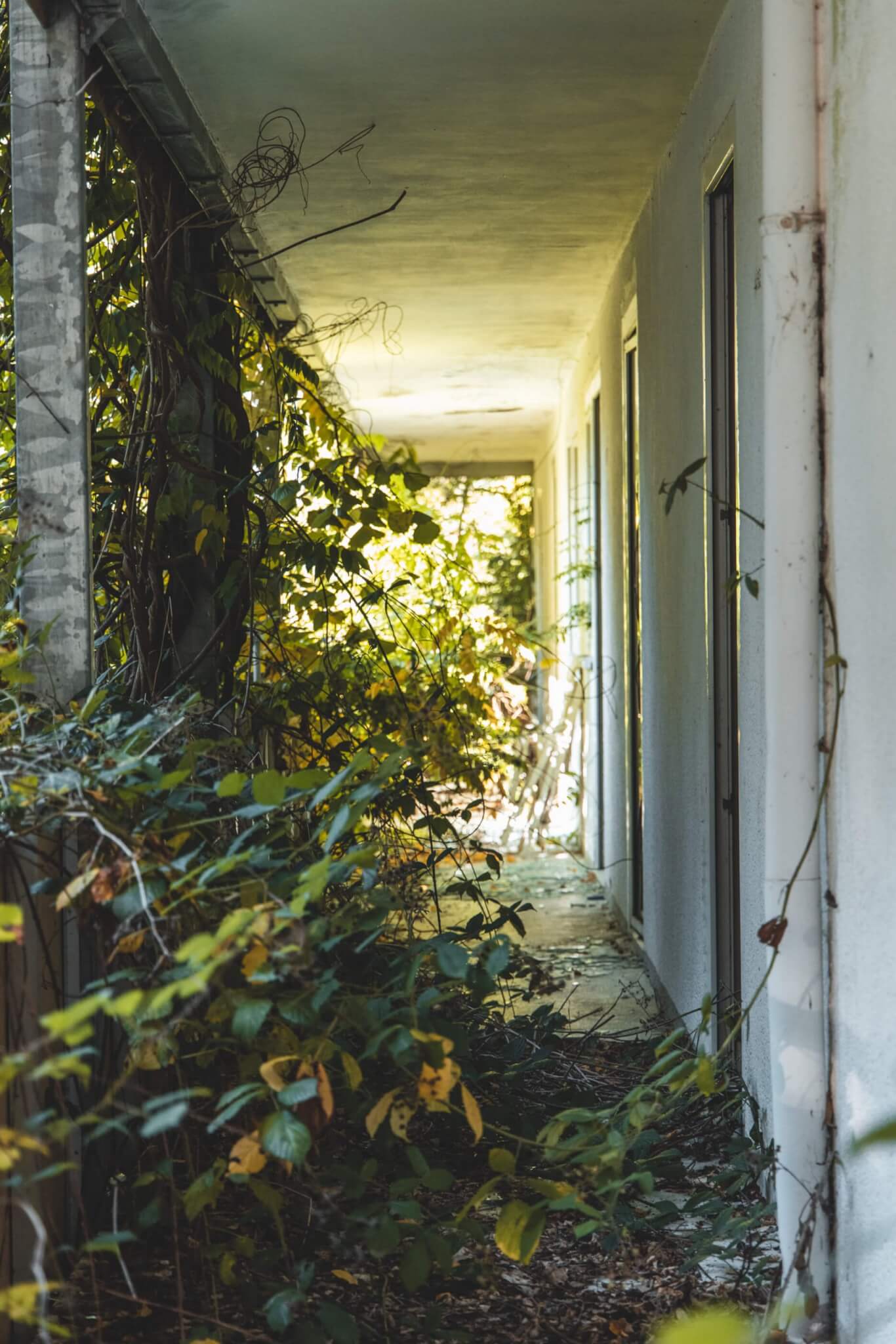 Reha-Klinik — Aufnahme 27