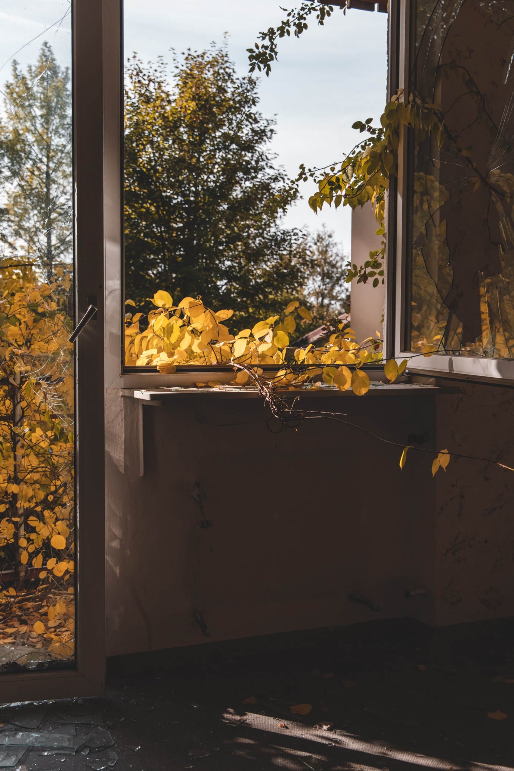 Reha-Klinik — Aufnahme 50