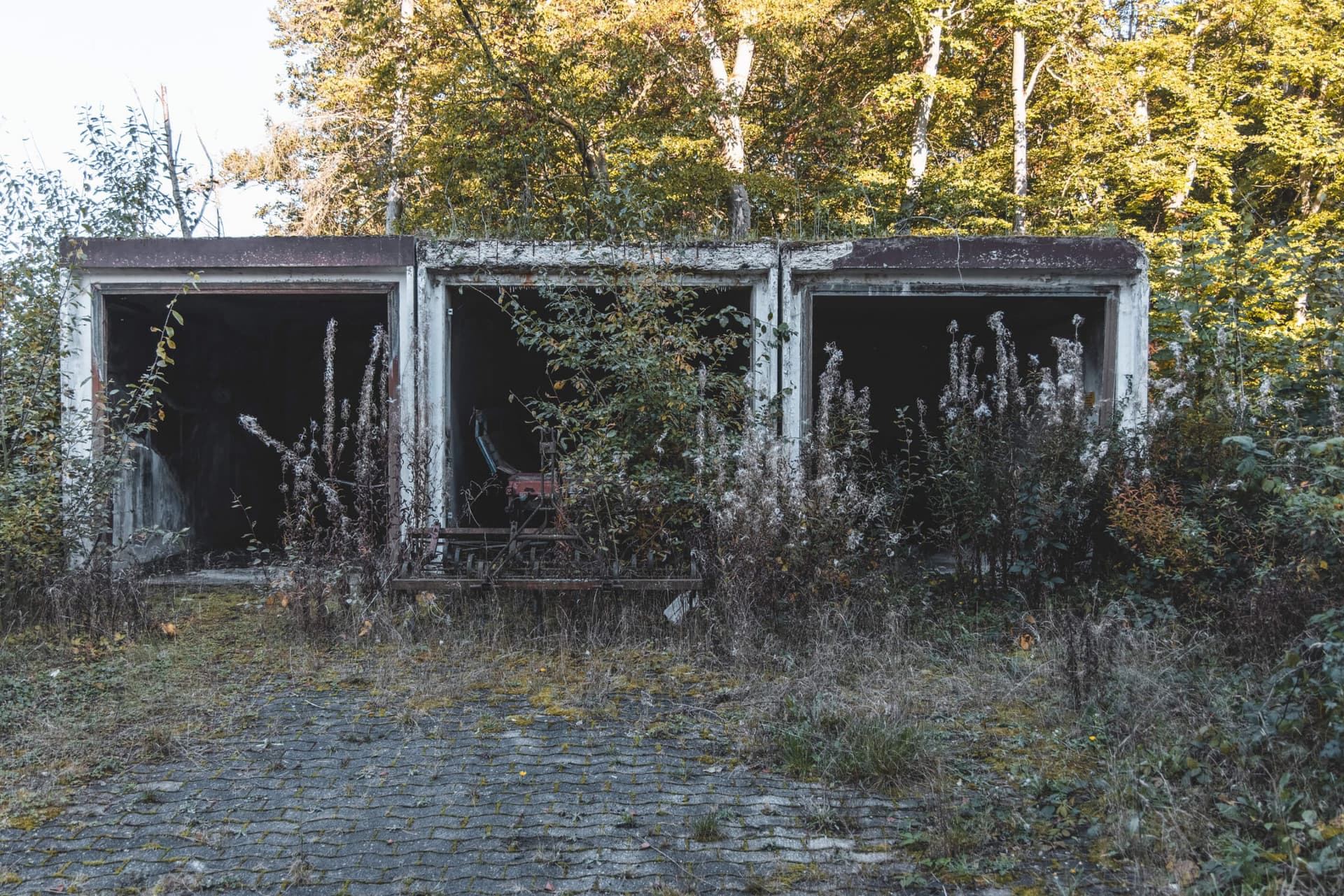 Sanatorium im Wäldchen — Aufnahme 9