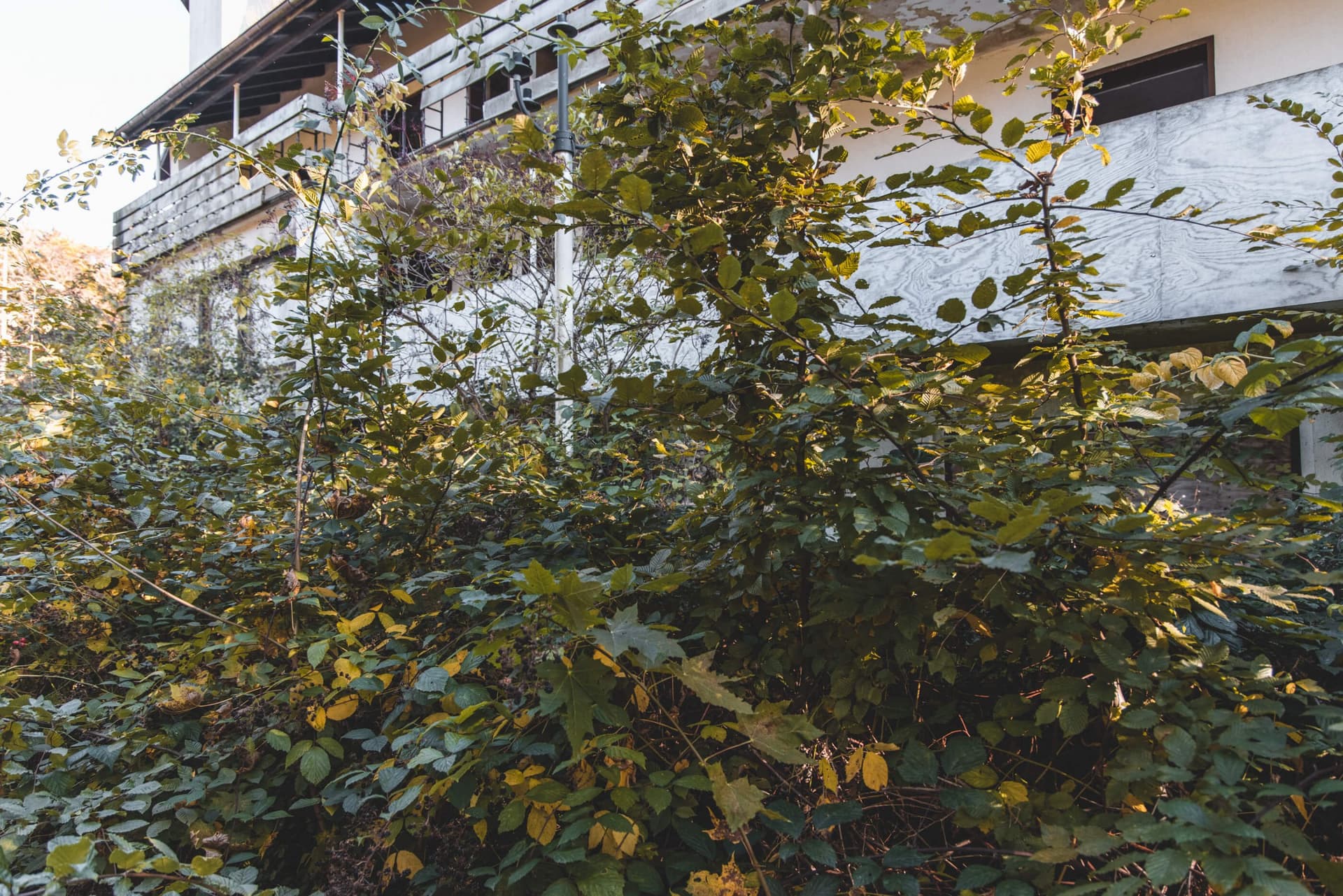 Das Sanatorium