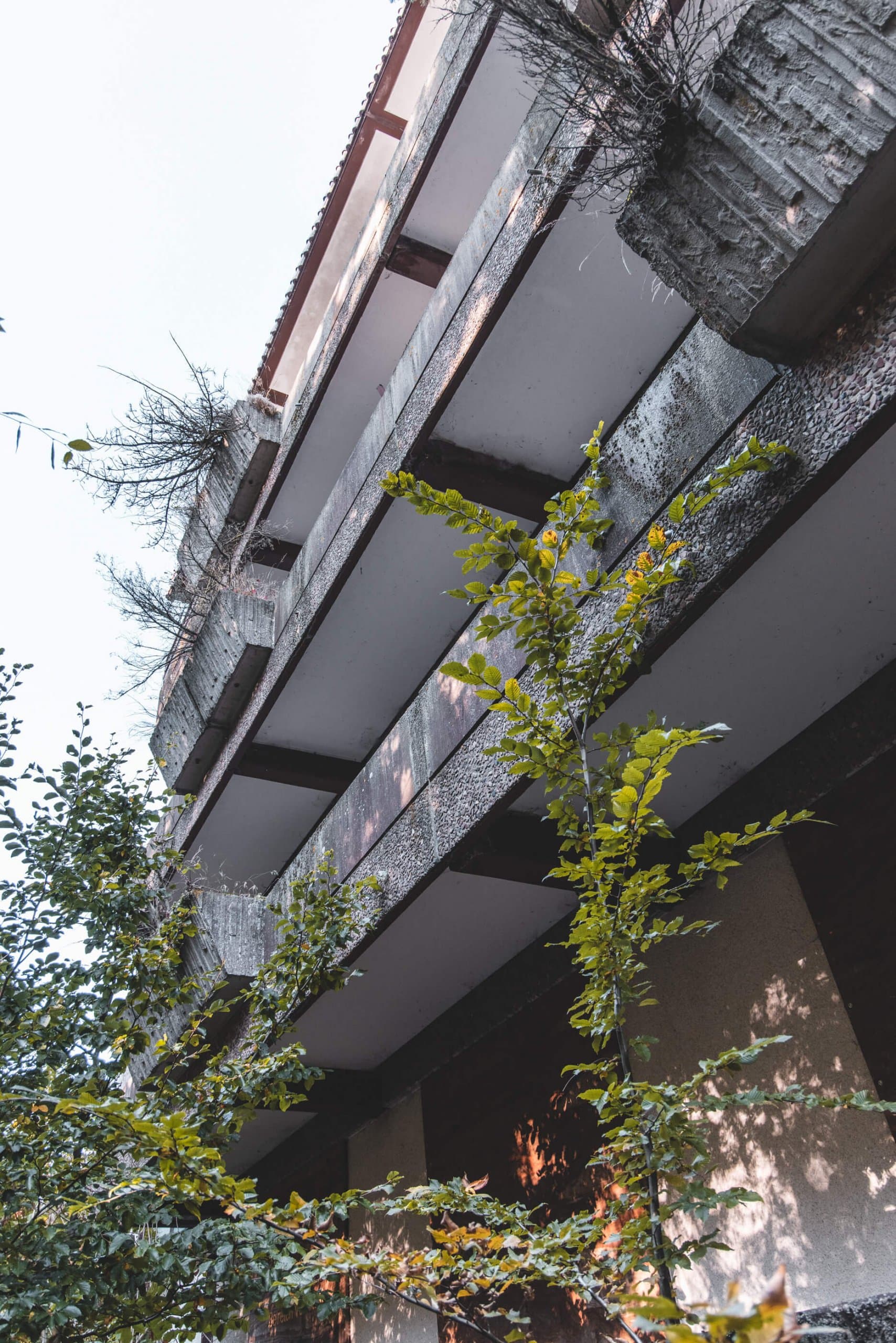 Sanatorium im Wäldchen — Aufnahme 7