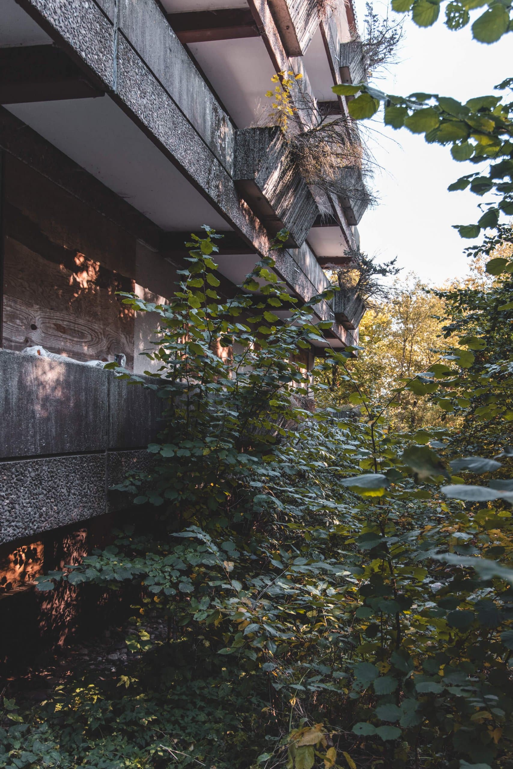 Sanatorium im Wäldchen — Aufnahme 8