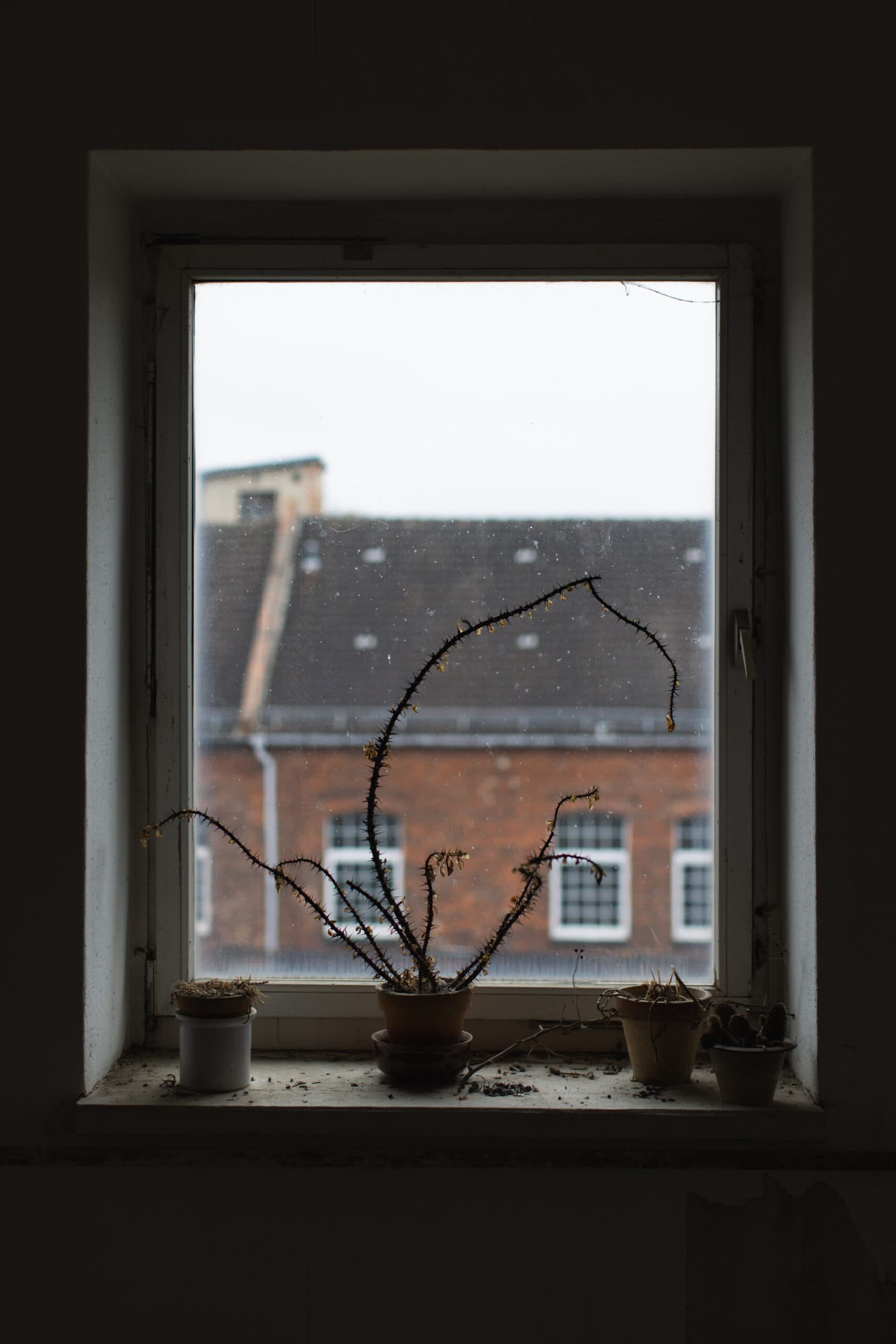 Porzellanwerk Annaburg — Aufnahme 25